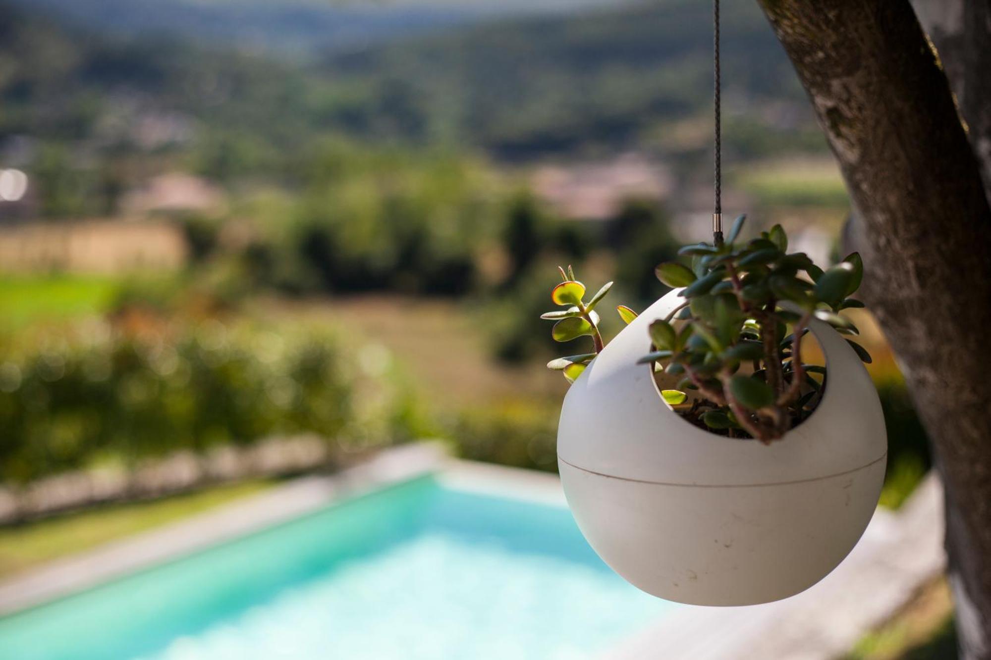 Villa Quinta Da Mouta à Vieira do Minho Extérieur photo